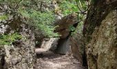 Tocht Stappen Cheval-Blanc - gorge du regalon - Photo 3