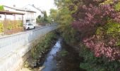 Tour Zu Fuß Lohfelden - Lohfelden-Crumbach, Rundweg 6 - Photo 3