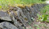 Percorso A piedi Bourscheid - Autopedestre Schlindermanderscheid - Photo 3