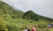 Tocht Stappen Saint-Claude - La Soufrière (retour) - Photo 4