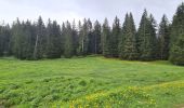 Tocht Stappen Autrans-Méaudre en Vercors - autrans - Photo 7