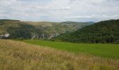 Tocht Stappen Meyrueis - Meyruies - Gorges de la Jonte - Grotte de Dagilan - Photo 13