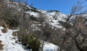 Trail Snowshoes La Croix-sur-Roudoule - Haute Mihubi  - Photo 4