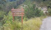 Trail Walking Lantosque - Sauma Longa - Photo 3