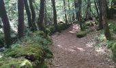 Trail Walking Locarn - Circuit landes de Locarn Corong - Photo 3