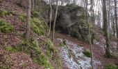 Excursión A pie Hirschbach - Hirschbacher Ziegenrundwanderweg - Photo 10