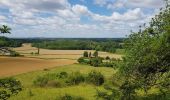 Trail Road bike Sort-en-Chalosse - Voie verte C20 en Chalosse 64km - Photo 1