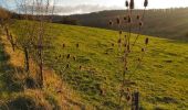 Percorso Mountainbike Virton - Champfaye et la Bourguinette  -  Balade_VTT_26kms - Photo 18