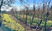 Tour Wandern Braives - Tracé - Photo 13
