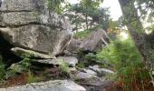 Excursión Senderismo Arbonne-la-Forêt - Forêt de Fontainebleau Tour de la Vierge et Le Hurlevent - Photo 3