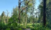 Trail Walking Fleurus - forêt des loisirs Fleurus - Photo 2