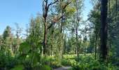 Trail Walking Fleurus - forêt des loisirs Fleurus - Photo 2