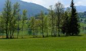 Tour Zu Fuß Aigen im Ennstal - Wanderweg 9 - Photo 4