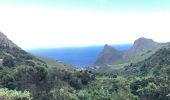 Tour Wandern Santa Cruz de Tenerife - 20230125 Tachero-Taganana-Casa Forestal  - Photo 1