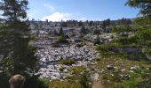 Tour Wandern Fillière - la tête du Parmeka  - Photo 6