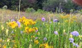 Trail Walking Septmoncel les Molunes - mo sentier des lapidaires - Photo 12