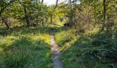 Randonnée Marche Fontainebleau - Sentier Denecourt 1 - Photo 19
