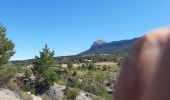 Randonnée Marche Digne-les-Bains - ENTRAGES Tour et crête du Feston o s l - Photo 3