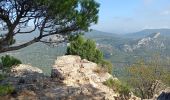 Randonnée Marche Toulon - Tour du Faron - Photo 1