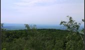 Tour Zu Fuß Zobten am Berge - Szlak archeologiczny - Photo 7