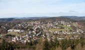 Tour Zu Fuß Schriesheim - Rundwanderweg Wilhelmsfeld 12: Leichtersberg-Weg - Photo 5