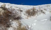 Trail Walking Saint-Vallier-de-Thiey - Montagne de Thiey  - Photo 11