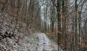 Excursión Senderismo Waimes - Sur les traces de l'ultratrail 🥾 - Photo 17