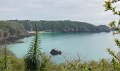 Trail Walking Unknown - Guernesey sud-est - Photo 4
