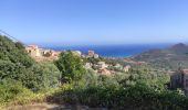 Trail Walking Belgodère - Corse 1  - Photo 6
