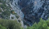 Trail Walking La Palud-sur-Verdon - sentier bastidon 999m 17.6k - Photo 2