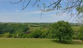 Tour Wandern Dison - 4821 Andrimont (Verviers) 15Km marche adeps du 15/05/2022 - Photo 7