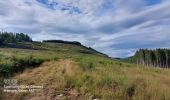 Tour Zu Fuß Sainte-Ode - Dans Freyr par Bokaissart - Photo 3