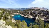 Randonnée Marche Cassis - Les 3 Calanques coté Est - Port Miou - En Vau - Port Pin (2eme version) - Photo 8