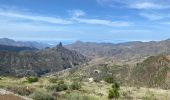 Randonnée Marche Tejeda - Barranco de la Mina (Gran Canaria) - Photo 12