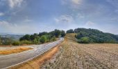 Trail On foot Castellarano - IT-602F - Photo 7