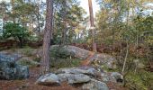 Trail Walking Fontainebleau - Sentier Denecourt 7 - Photo 3