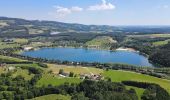 Percorso A piedi Stubenberg - Geierwandweg (23) - Photo 9