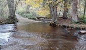 Trail Walking Manhay - la promenade du jack - Photo 19