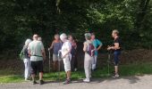 Trail Walking Golbey - Auchan  - Photo 1