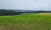 Tour Wandern Marche-en-Famenne - marche en famenne 280623 - Photo 3