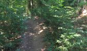 Trail Walking Tintigny - La Rando du Bian: Autour de Lahage ( variante)  - Photo 5