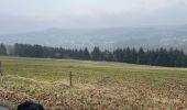 Trail Walking Stavelot - Stavelot 13 Km - Photo 1