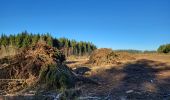 Trail Walking Bouillon - Rochehaut 110124 - Photo 10