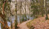 Trail Walking Houffalize - Promenade vers le barrage de Nisramont - Photo 2