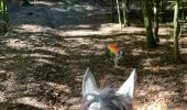 Trail Horseback riding Habay - Marbehan 9 octobre 2022e - Photo 9
