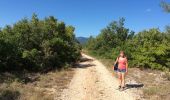 Trail Walking Banon - Le Largue 2 - Photo 3
