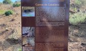 Tour Wandern Tejeda - Cuevas del Caballero (Gran Canaria) - Photo 9