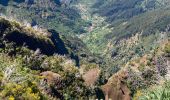 Randonnée Marche São Roque do Faial - Pico Ruibo - Photo 7