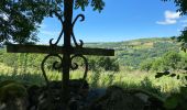 Percorso Marcia Saint-Chély-d'Aubrac - St Chelsy, Aubrac, Les Enfrux - Photo 2