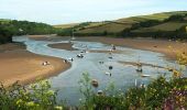 Tocht Te voet South Hams - Avon Estuary Walk - Photo 1